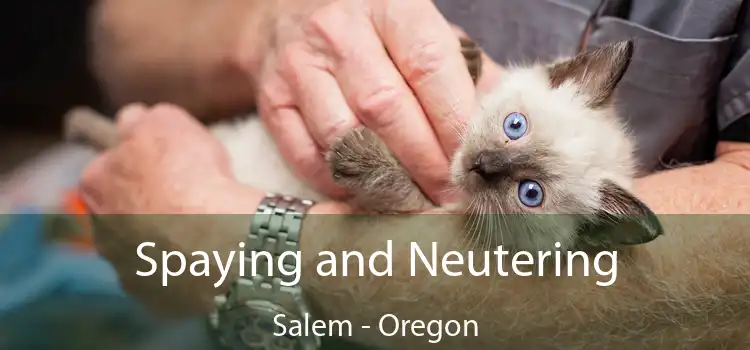 Spaying and Neutering Salem - Oregon