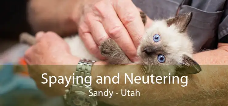 Spaying and Neutering Sandy - Utah