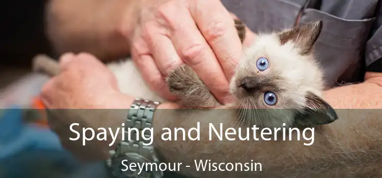 Spaying and Neutering Seymour - Wisconsin