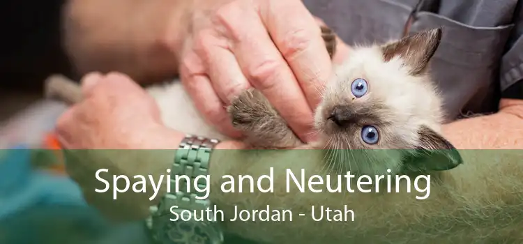 Spaying and Neutering South Jordan - Utah