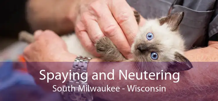 Spaying and Neutering South Milwaukee - Wisconsin