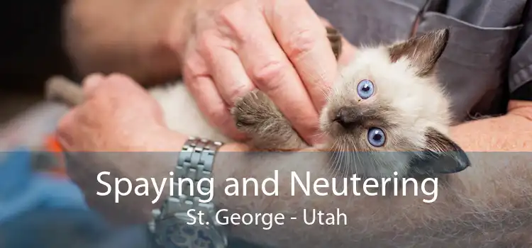 Spaying and Neutering St. George - Utah