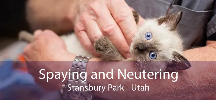 Spaying and Neutering Stansbury Park - Utah