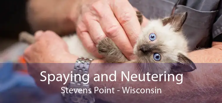 Spaying and Neutering Stevens Point - Wisconsin