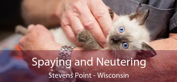 Spaying and Neutering Stevens Point - Wisconsin