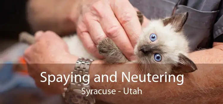 Spaying and Neutering Syracuse - Utah