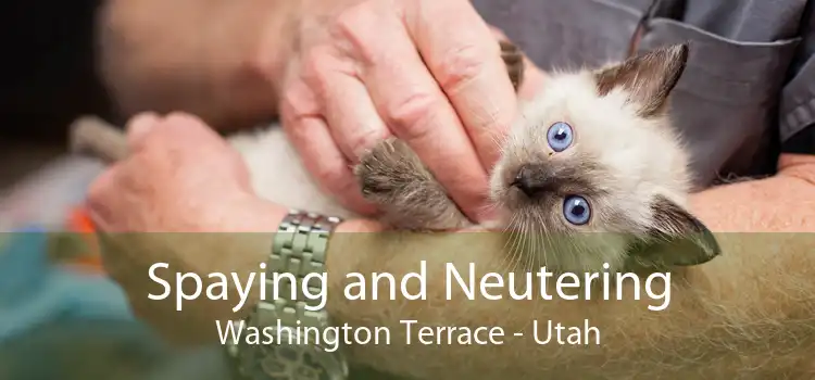 Spaying and Neutering Washington Terrace - Utah