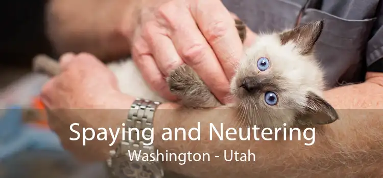 Spaying and Neutering Washington - Utah