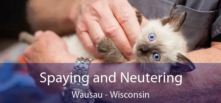 Spaying and Neutering Wausau - Wisconsin