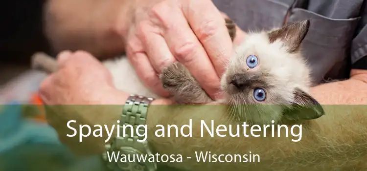 Spaying and Neutering Wauwatosa - Wisconsin