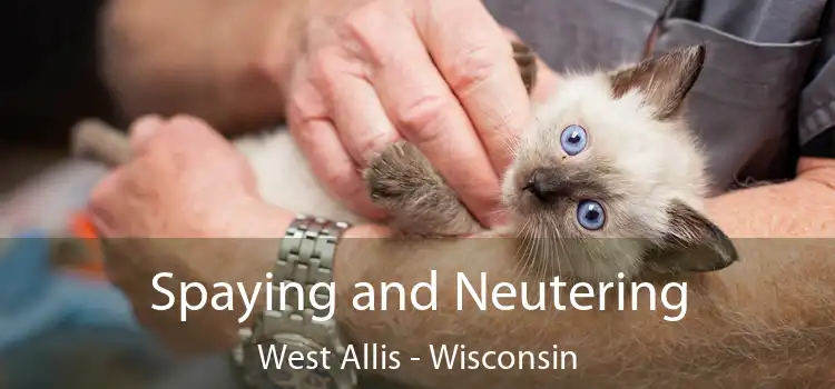 Spaying and Neutering West Allis - Wisconsin