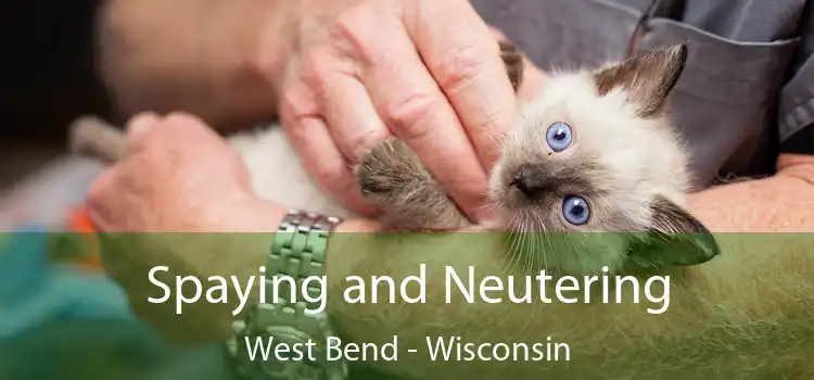 Spaying and Neutering West Bend - Wisconsin