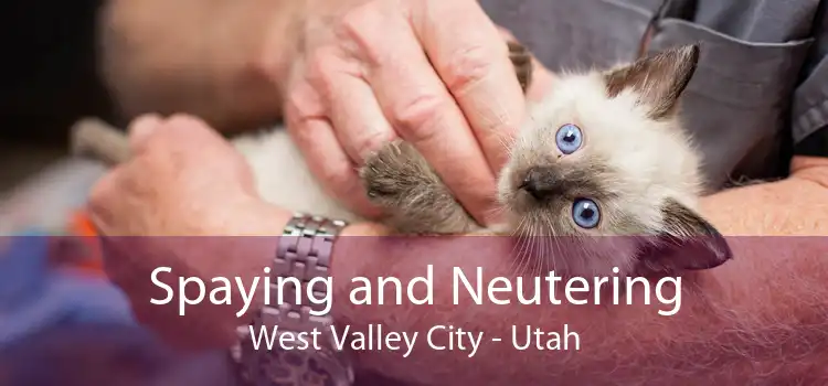 Spaying and Neutering West Valley City - Utah