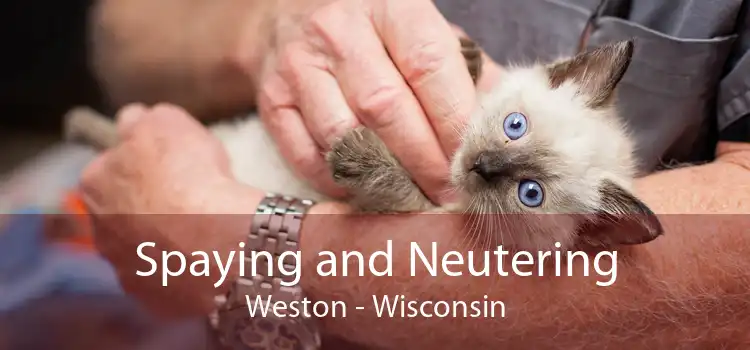 Spaying and Neutering Weston - Wisconsin