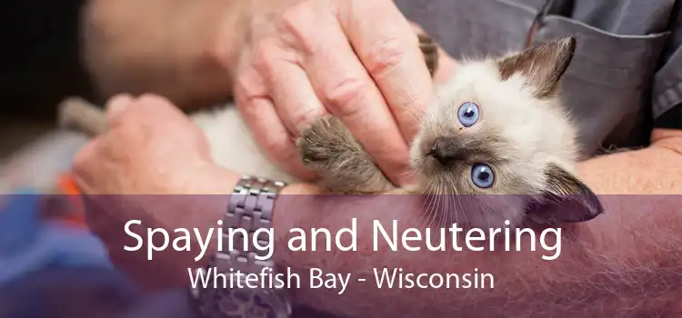 Spaying and Neutering Whitefish Bay - Wisconsin