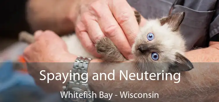 Spaying and Neutering Whitefish Bay - Wisconsin