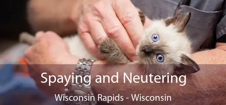 Spaying and Neutering Wisconsin Rapids - Wisconsin
