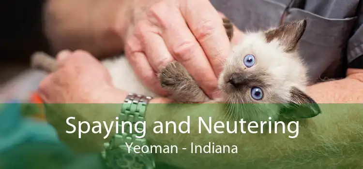 Spaying and Neutering Yeoman - Indiana