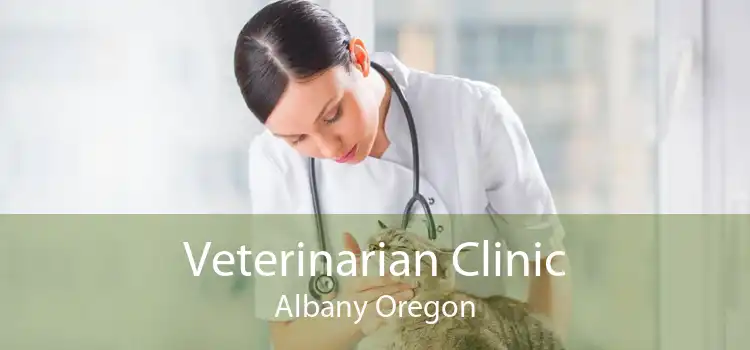 Veterinarian Clinic Albany Oregon