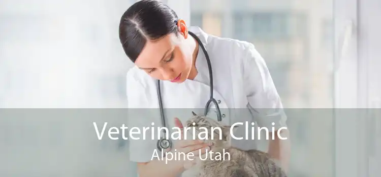 Veterinarian Clinic Alpine Utah