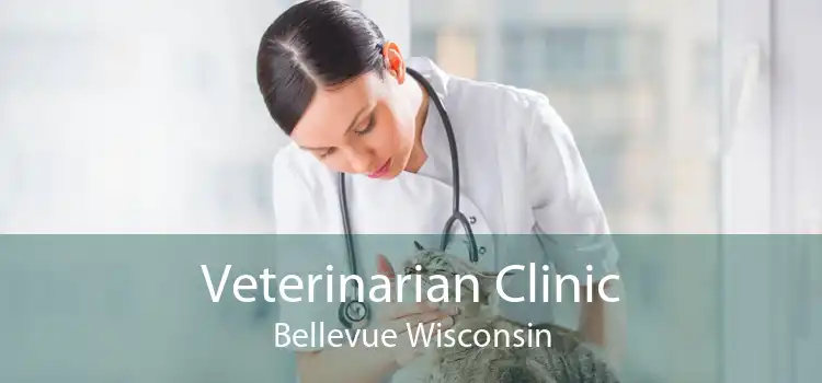 Veterinarian Clinic Bellevue Wisconsin