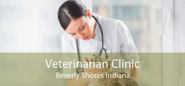 Veterinarian Clinic Beverly Shores Indiana