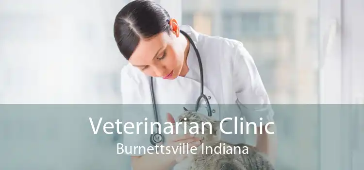 Veterinarian Clinic Burnettsville Indiana
