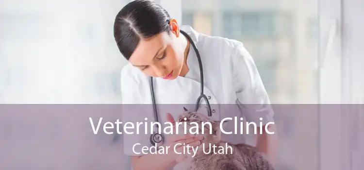 Veterinarian Clinic Cedar City Utah