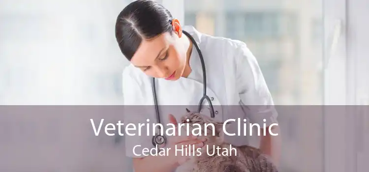 Veterinarian Clinic Cedar Hills Utah