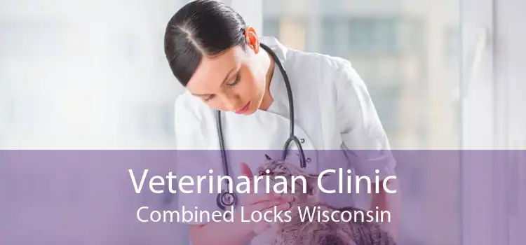 Veterinarian Clinic Combined Locks Wisconsin