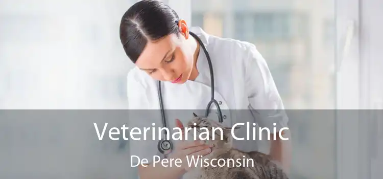 Veterinarian Clinic De Pere Wisconsin