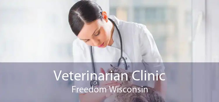 Veterinarian Clinic Freedom Wisconsin