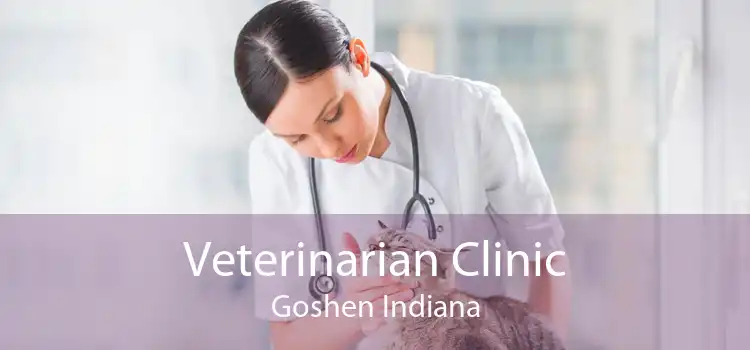 Veterinarian Clinic Goshen Indiana