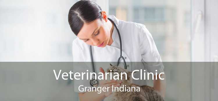 Veterinarian Clinic Granger Indiana