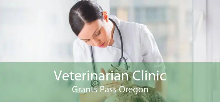 Veterinarian Clinic Grants Pass Oregon
