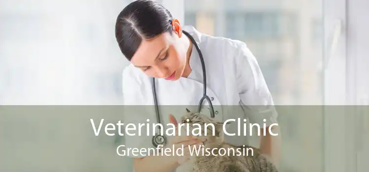 Veterinarian Clinic Greenfield Wisconsin