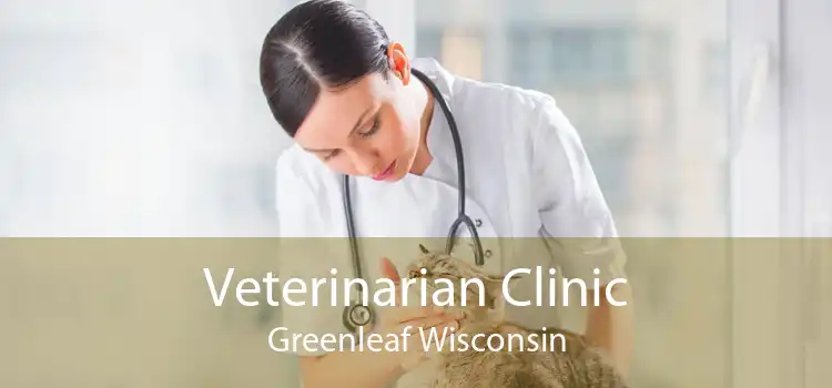 Veterinarian Clinic Greenleaf Wisconsin