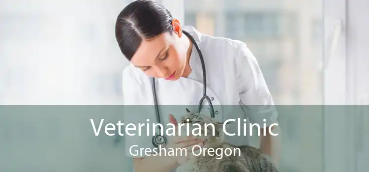 Veterinarian Clinic Gresham Oregon