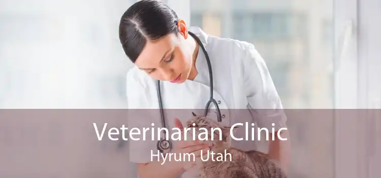 Veterinarian Clinic Hyrum Utah