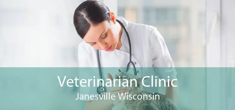 Veterinarian Clinic Janesville Wisconsin