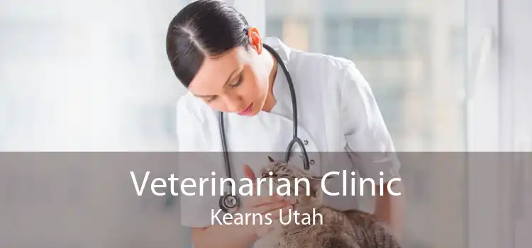 Veterinarian Clinic Kearns Utah