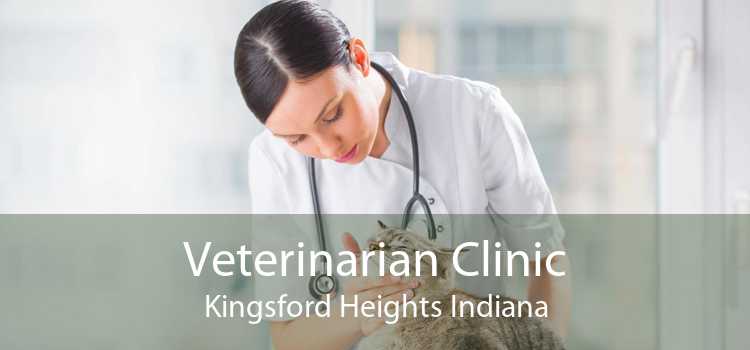Veterinarian Clinic Kingsford Heights Indiana