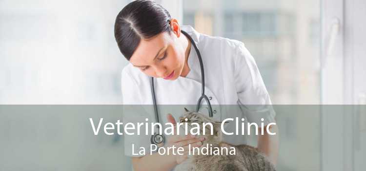 Veterinarian Clinic La Porte Indiana