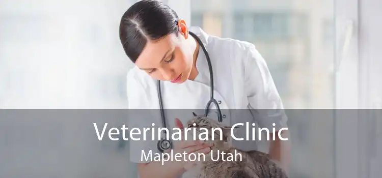 Veterinarian Clinic Mapleton Utah