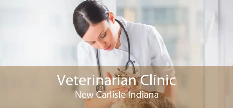 Veterinarian Clinic New Carlisle Indiana