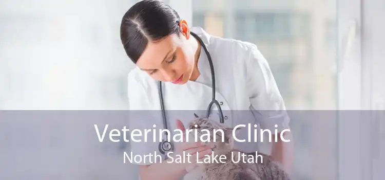 Veterinarian Clinic North Salt Lake Utah