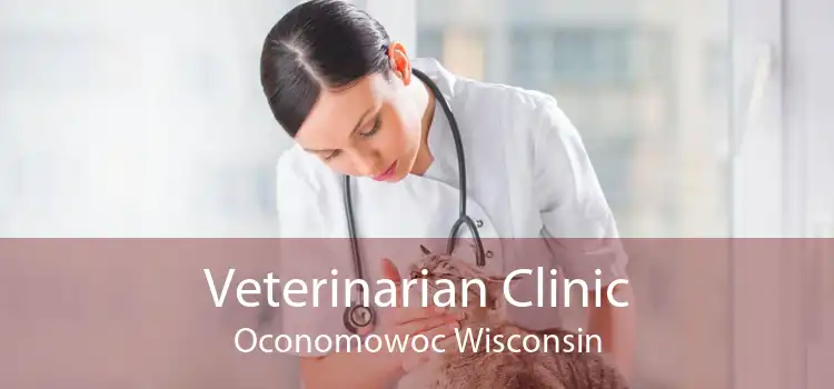 Veterinarian Clinic Oconomowoc Wisconsin