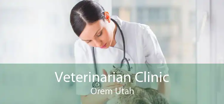 Veterinarian Clinic Orem Utah