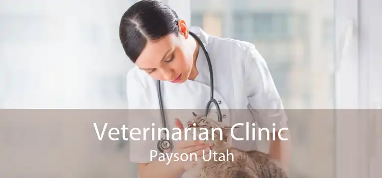 Veterinarian Clinic Payson Utah