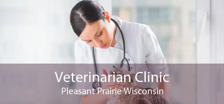 Veterinarian Clinic Pleasant Prairie Wisconsin
